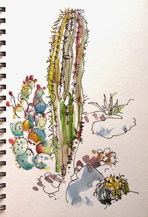 Watercolor Journal, Watercolor Cactus, Desert Art, Cactus Art, Southwest Art, Prickly Pear, Sketchbook Inspiration, Watercolor Sketch, Urban Sketching