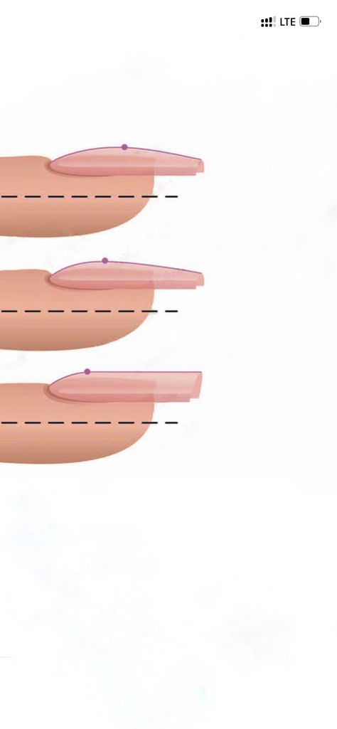 Nail Apex Placement, Convex Nails, Nail Anatomy Diagram, Acrylic Nail Apex Side View, Nail Apex Side View, Nail Tech School, Manicure Tutorials, Nail Courses, Popular Nail Designs