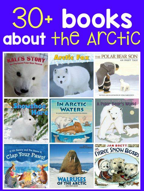 30 books about the arctic | via The Measured Mom Arctic Animal Books Preschool, Kindergarten Arctic Animals, Arctic Animals Preschool, Arctic Habitat, Animals Preschool, Measured Mom, Winter Unit, Snow Bear, Penguins And Polar Bears