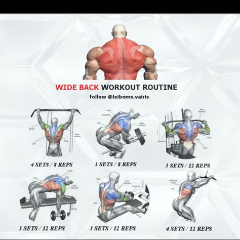 Back Workout Men, Back Workout Routine, T Bar Row, Muscle Building Workouts, Weight Training Workouts, Workout Chart, Chest Workouts, Gym Workout Tips, Back Exercises