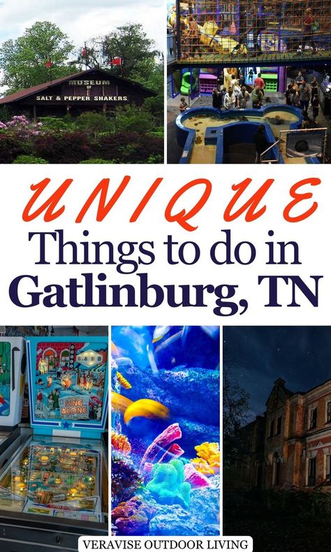 Unique Things To Do In Gatlinburg, TN Cheap Winter Vacations, Gatlinburg Tennessee Restaurants, Gatlinburg Tennessee Cabins, Gatlinburg Attractions, Tennessee Gatlinburg, Nashville Tennessee Vacation, Things To Do In Gatlinburg, Gatlinburg Tennessee Vacation, Ole Smoky Moonshine