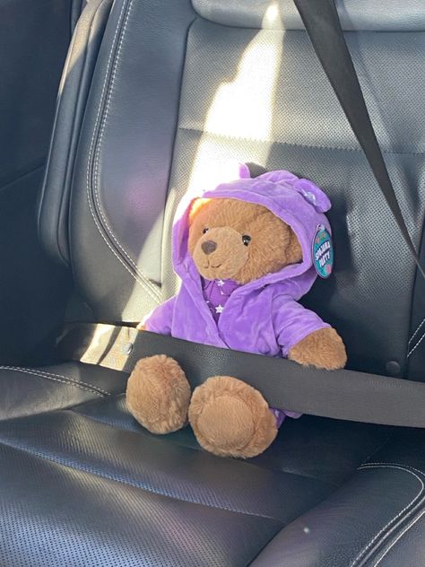 Teddy In Car, Car Seat Aesthetic, Purple Car, Teddy Bear Girl, Car Goals, Teen Life, Cute Stuffed Animals, In Car, Build A Bear