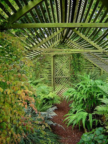 Lath House For Shade Plants @Patti Adams.  Like Daddy built at our Mesa house! Lath House, Plants That Like Shade, Orchid House, Shade House, Green Houses, Moss Covered, Deck With Pergola, Potting Sheds, Garden Sheds