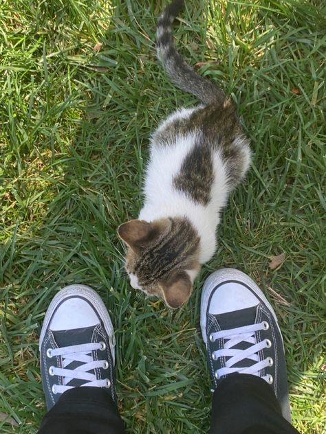 Gray Converse Aesthetic, Gray Converse Outfit, Cat Converse, Grey Converse Outfit, Converse Photography, Converse Ideas, Gray Converse, Converse Aesthetic, Alternative Girl