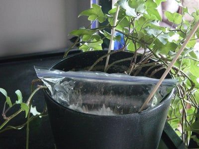 Plant Watering System, Self Watering Plants, Indoor Vegetable Gardening, Decoration Plante, Self Watering Planter, Hydroponic Gardening, Self Watering, Diy Plants, Water Flowers