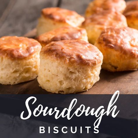 Sourdough Starter Feeding, Bacon Breakfast Sandwich, Using Sourdough Discard, Sourdough Biscuits, Recipe Using Sourdough Starter, Egg And Bacon, Easy Sourdough, Discard Recipes, Bread Starter