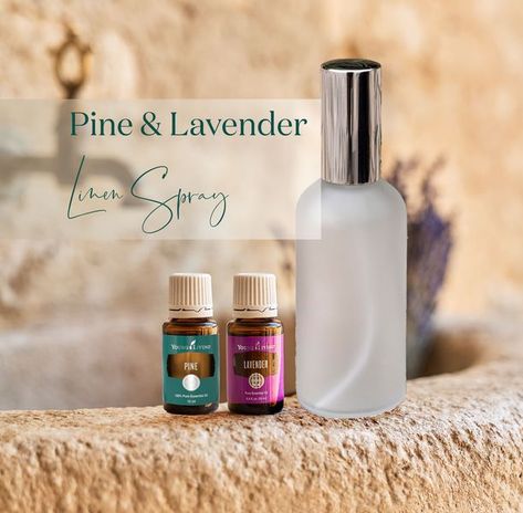 Healthier Thymes Pine Essential Oil, Diy Sprays, Smell Fresh, Lavender Essential Oil, Thyme, Essential Oil, Essential Oils, Lavender, Spray