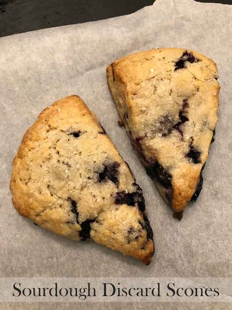 Sourdough Discard Scones - Cookie Madness Discard Scones, Sourdough Discard Scones, Scone Dough, Sourdough Bread Starter, Sourdough Starter Discard Recipe, Cheese Scones, Sourdough Starter Recipe, Sour Dough, Sourdough Discard