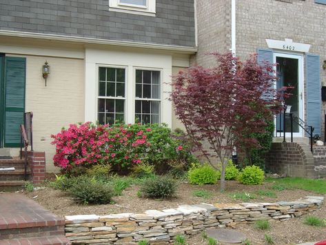 5 of the Best Townhouse Landscaping Ideas (and Pictures) for Alexandria and Arlington, VA Townhouse Front Yard, Townhouse Landscaping, Small Patio Ideas Townhouse, Front Lawn Landscaping, Trees For Front Yard, Townhouse Garden, Small Yard Landscaping, Small Front Yard Landscaping, Small Front Yard