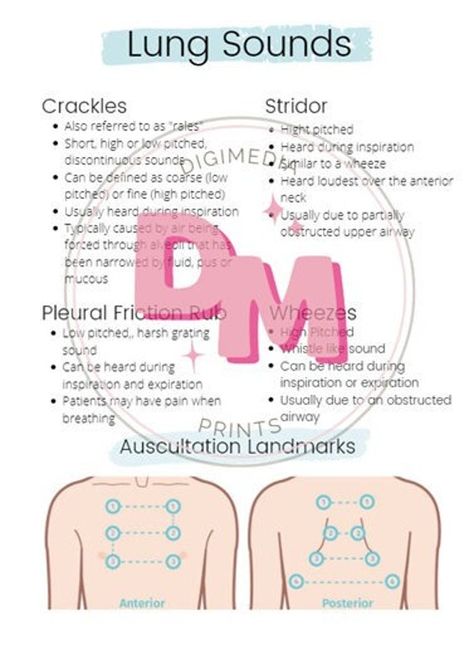 Make understanding and practicing lung auscultation and breath sounds easy with this simple, organized nursing cheat sheet. Bring this with you to class, during clinicals or on the job to aide your nursing assessments! Lung Sounds Nursing Assessment, Breath Sounds Nursing, Lung Abscess Nursing, Lung Assessment Nursing, Nursing Clinical Cheat Sheet, Fundamentals Of Nursing Cheat Sheets, Capnography Cheat Sheets, Respiratory Nursing Cheat Sheets, Lung Sounds Cheat Sheet