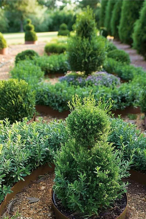 38 Stunning Herb Garden Ideas for Your Backyard Bliss Outdoor Patio Herb Garden Ideas, Beautiful Herb Garden Design, Large Herb Garden, Resort Landscaping, Herb Garden Outdoor, Small Herb Garden, Backyard Herb Garden, Patio Herb Garden, Herb Garden Ideas