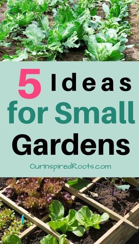 Veggie Garden For Renters, Tiny Vegetable Garden Small Spaces, Small Yard Veggie Garden Ideas, Small Space Garden Design, Tiny Vegetable Garden Ideas, Small Food Garden Ideas, Vegetable Garden Small Space, Small Yard Gardening, Potager Garden Design Small Spaces