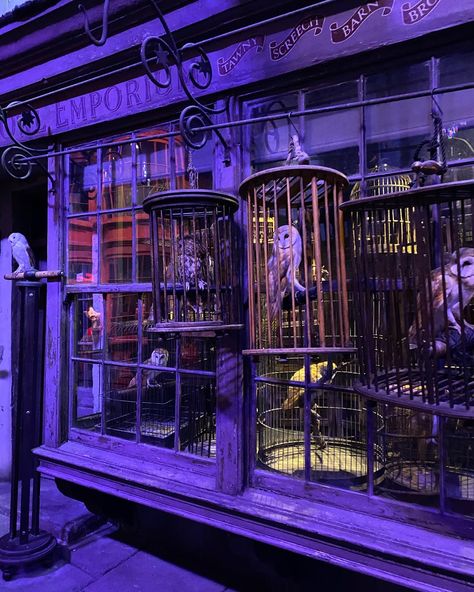 Purple Harry Potter Aesthetic, Harry Potter Purple Aesthetic, Harry Potter Museum, Harry Potter Light, Harry Potter Set, Harry Potter Bedroom, Harry Potter Halloween, Fall 23, London Aesthetic