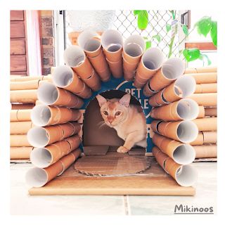 Diy Cat Tunnel, Free Patterns Sewing, Cat Trees Homemade, Clothing Alterations, Diy Sewing Tutorials, Diy Toilet, Cat Trees, Homemade Cat, Cat Scratch