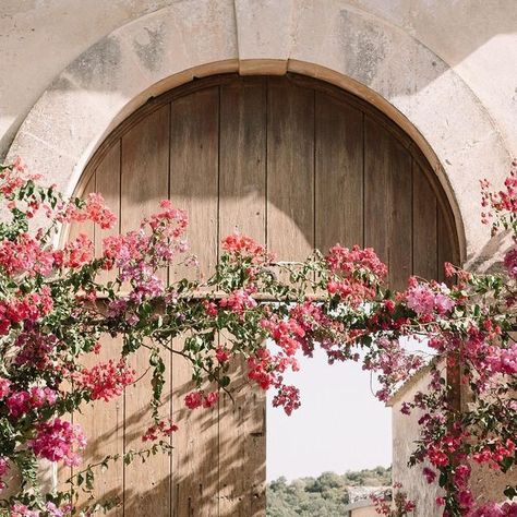 Flowersliving 🌸 on Instagram: "Mediterranean Dream 🌺 Bougainvillea branches as the perfect frame to celebrate a special union 💘 . .. … …. ….. Ph @rosita_lipari_wedding Venue @dimoradellebalze Florals @flowersliving #weddingday #weddingforward #weddingflowers #weddingceremonydecor #persianwedding #persianceremony #bougainvillea #mediterranean #destinationweddingsicily #weddinginspiration #weddingarch #weddingdayready #weddingseason #summerwedding #weddingindustry #weddingdetails #chuppah #wedd Mediterranean Wedding Decor, Bougainvillea Arch, Wedding Decor Pink, Sicily Wedding, Mediterranean Wedding, Persian Wedding, Wedding Forward, Wedding Ceremony Decorations, Bougainvillea