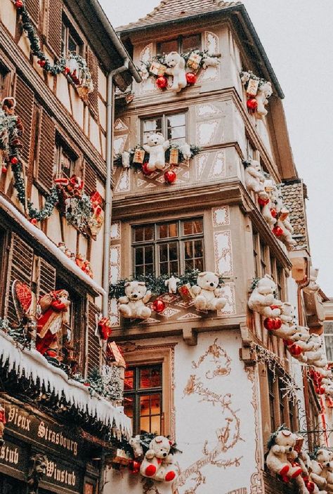 French Christmas decor with huge teddy bears on buildings in Strasbourg, France - Odrida. French Christmas Decor, Huge Teddy Bears, French Inspired Decor, Holiday Decorating Ideas, French Country Christmas, Authentic Decor, Country Fan, Christmas China, Holiday Greenery