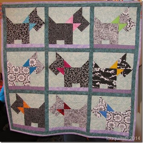 Scottie baby quilt by Carol G Sewing Blanket, Baby Boy Quilt Patterns, Boys Quilt Patterns, Free Cross Stitch Charts, Scotty Dog, Charm Quilt, Dog Quilts, Scottish Terriers, Scottie Dogs