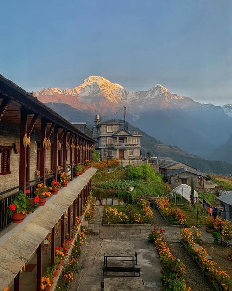 Nepal_Visuals on Instagram: “Good Morning from Ghandruk, Nepal🇳🇵❤️ 📸 Pic Credit: @shum_it  Please visit their gallery and show some INSTA LOVE!!! * 🗣 FOR FEATURES:Tag…” Ghandruk Nepal, Nepal People, Travel Nepal, Nepal Culture, Travel Points, Amazing Places On Earth, Nepal Travel, Amazing Places, Travel Bucket List