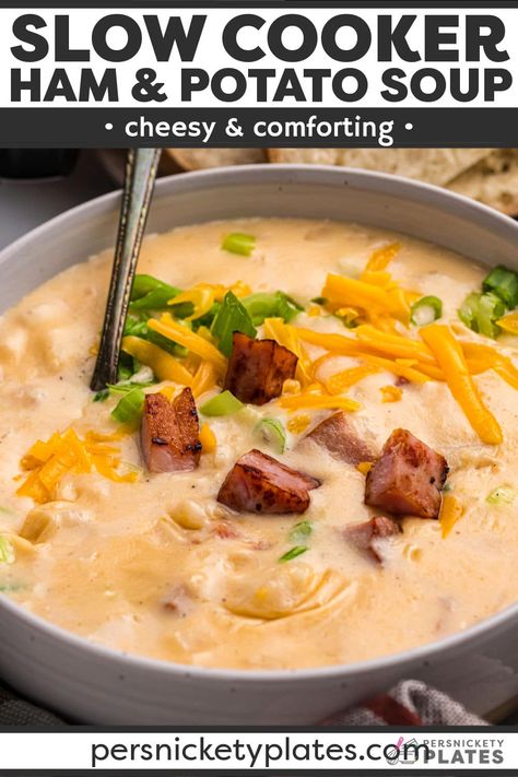 Ham Stew Recipes Crock Pot, Cheesy Ham And Potato Chowder, Slow Cooker Cheesy Ham And Potato Soup, Cheesy Ham Soup, Ham And Cheese Soup Crockpot, Ham Potato Cheese Soup Crock Pot, Ham Hock Potato Soup Crock Pot, Easiest Crockpot Soup, Gluten Free Ham And Potato Soup