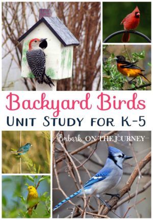 Study Pack, Love Studying, Birds For Kids, Books Science, Homeschool Nature Study, Nature School, Science Activities For Kids, Outdoor Classroom, Free Homeschool