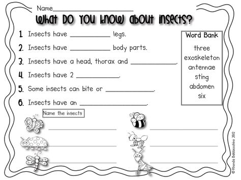 What Is an Insect Worksheet | These worksheets are available for free at my TPT store HERE Insect Diagram, Insect Worksheet, What Is An Insect, Parts Of An Insect, Crawling Animals, Insects For Kids, Insects Kindergarten, Grade 2 Science, Preschool Charts