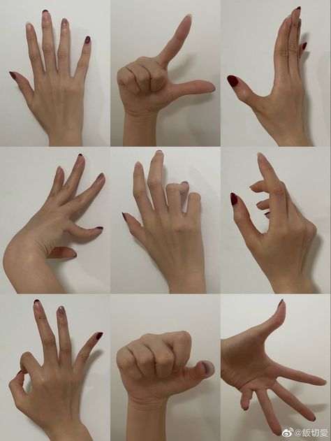 Hand Drawing Reference Photo, Hand Anatomy Reference, Hand Study Reference, Dynamic Hand Poses, Hand On Table Reference, Hand Poses References, Hand Refs, Hand Reference Photos, Images Of Hands