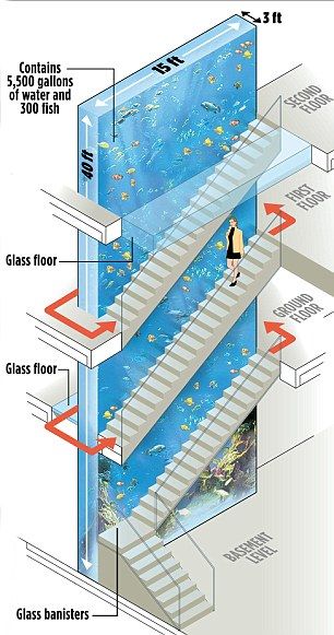 Thierry Henry rebuilds his £6,000,000.00,- home to fit in FOUR-STOREY 5,000 gallon tank! Luxury Fish Tanks, Shark Aquarium Home, Aquariums In Homes, Luxury Houses Mansions Interiors, Luxury Aquarium, Aquarium Interior, Minecraft Aquarium, Aquarium Room, House Aquarium