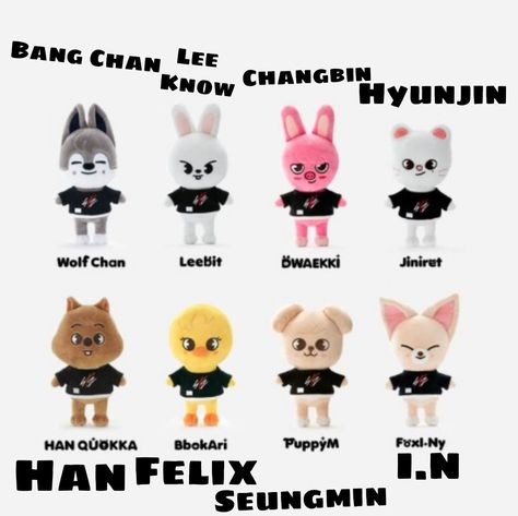 Skz Plushies Names, Skzoo Names And Members, Skz Members Names, Stray Kids Members Names, Skz Names, Stray Kids Plushies, Stray Kids Names, Bullet Journal Ideas Templates, Pop Toys