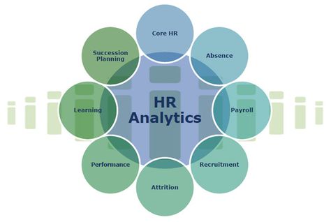 People Analytics, Hr Analytics, Hr Interview, Human Resource Management System, Using People, Coaching Techniques, Human Capital, Employee Development, Payroll Software