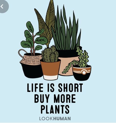 Cute Plant Quotes, Plant Lover Quotes, Plant Sayings, Fiddle Leaf Fig Plant, Plant Quotes, Plants Classroom, Usa Life, Fig Plant, Plants Quotes