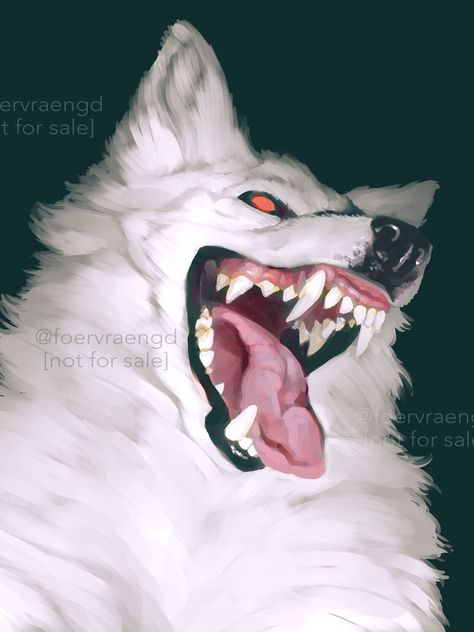 Canine Drawing, Canine Art, White Wolf, Creature Concept Art, Wolf Art, Arte Fantasy, Sketchbook Art Inspiration, Art Inspiration Drawing, Horror Art