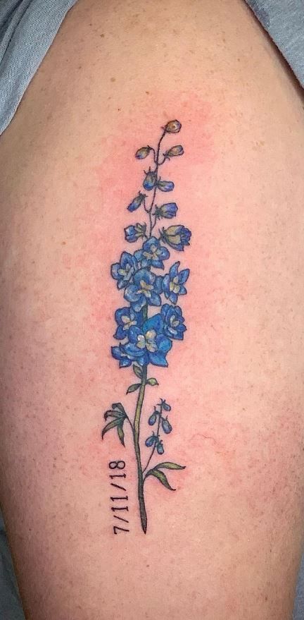 100 Meaningful Larkspur Tattoo Designs - Tattoo Me Now Blue Delphinium Tattoo, Larkspur Tattoo With Name, Name Stem Tattoo, Delphinium Tattoo, Stem Tattoo, Larkspur Tattoo, Larkspur Flower, Tattoo Me, Blue Delphinium