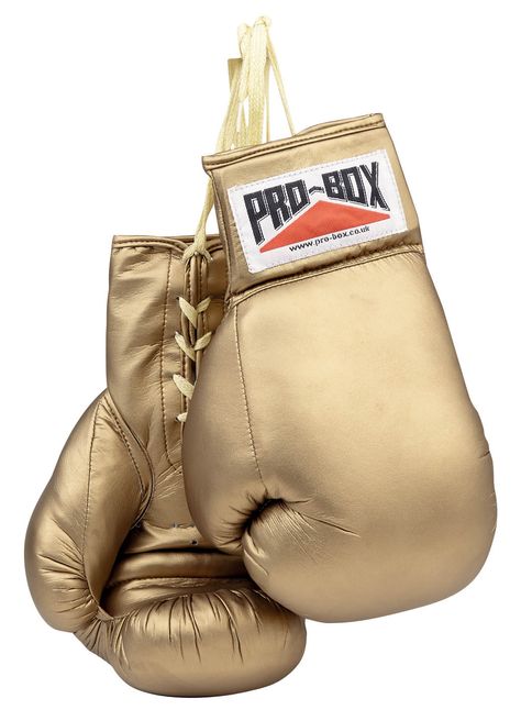 gold boxing gloves -- can buy these and cover label in black Gold Boxing Gloves, Boxer Aesthetic, Boxing Gear, Gold Gloves, Box Bags, Boxing Bags, Mma Boxing, Charity Auction, Mini Canvas Art