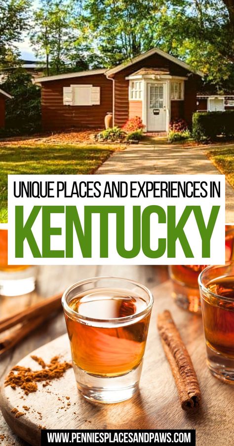 Unique Places and Experiences in Kentucky Dream Destinations Bucket Lists, Kentucky Attractions, Kentucky Vacation, Frankfort Kentucky, Creation Museum, Paducah Kentucky, California With Kids, Museum Plan, Kentucky Travel