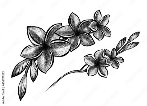 Plumeria Flower Tattoos, Stippling Drawing, Tattoos 2024, Floral Sketch, Drawing Black And White, Plumeria Flowers, Tattoo Cover Up, Drawing Black, Black And White Floral