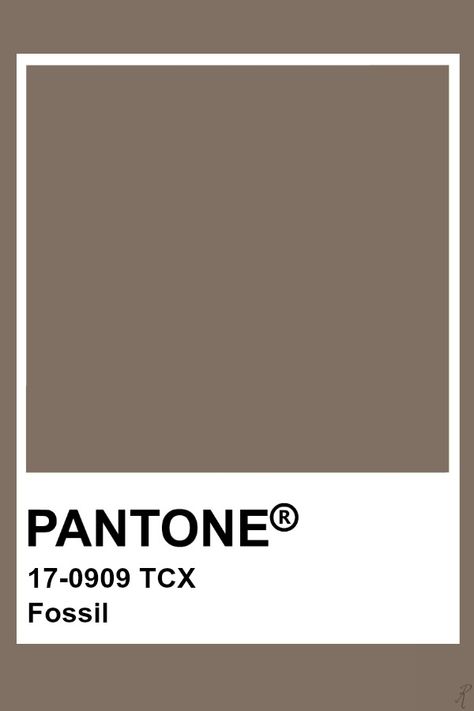 Pantone Fossil Brown Pantone, Pantone Tcx, Colourful Things, Pantone Colours, Pantone Color Chart, Pantone Swatches, Interior Tips, Pantone Palette, Pantone Colour Palettes