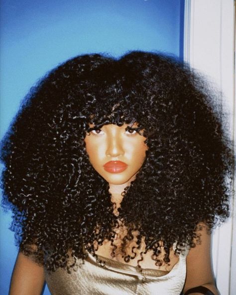 Wig Room, Afro Hair Woman, Male Editorial, Highlights Curly Hair, Y2k Hairstyles, Big Curly Hair, Beautiful Natural Hair, Dyed Natural Hair, Curly Hair Styles Easy