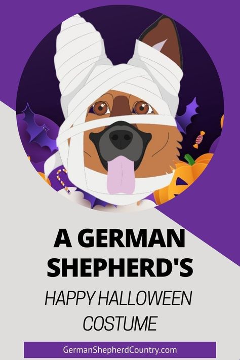 Read about a German Shepherd’s dilemma to find the perfect Halloween costume for trick or treat night. 🎃 #germanshepherdhalloween #germanshepherdcostumeideas German Shepherd Halloween Costume, German Shepherd Halloween, Perfect Halloween Costume, Cute Story, Mummy Costume, Dog Diy, Shepherd Dogs, Cute Stories, Like Animals