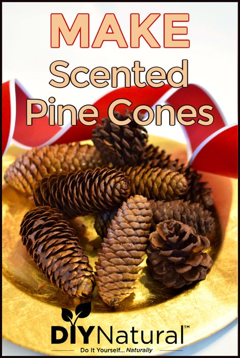 These DIY cinnamon and vanilla-scented pine cones smell and look great! They're subtle, beautiful, and the perfect addition to holiday decor and potpourri. Pine Cone Flowers Diy, Potpourri Diy, Diy Natural Cleaners, Scented Pine Cones, Natural Cleaners Diy, Christmas Primitive Decor, Dried Potpourri, Diy Cinnamon, Scented Pinecones