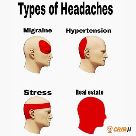 We handle the pressure and headaches of real estate from you. . . . . . . . #iheartrealestate #realtor #realtors #torontorealtor #torontorealtors #torontorealty #canadarealestate #canadianrealestate #torontorealestate #lmao #lol #lmfao #gainpost #gainposts #funnypost #funnyposts #memes #relatables #perfectsayings #wififun #cohmedy #instacomedy #horoscopes #relates #textposts #satanbuttgaintrain #hilarious #cribji #insta Template Meme, Blank Memes, Headache Types, Piper Mclean, Jason Grace, Pet Memes, Leo Valdez, Annabeth Chase, Pewdiepie