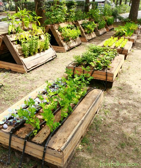 Potager Palettes, Raised Garden Bed Plans, Diy Garden Bed, Garden Boxes Raised, Vegetable Garden Raised Beds, Building A Raised Garden, Diy Raised Garden, Raised Garden Beds Diy, Pallet Garden