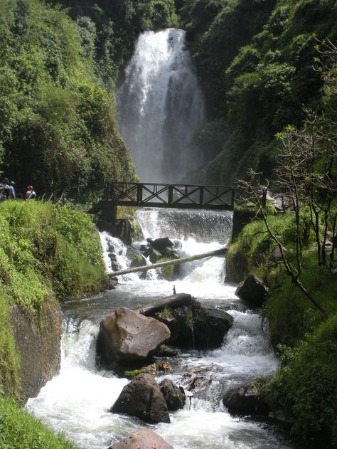 Mindo, Ecuador Mindo Ecuador, Cloud Forest, Quito Ecuador, Galapagos Islands, Travel South, South America Travel, Beautiful Waterfalls, Quito, Beautiful Places To Visit