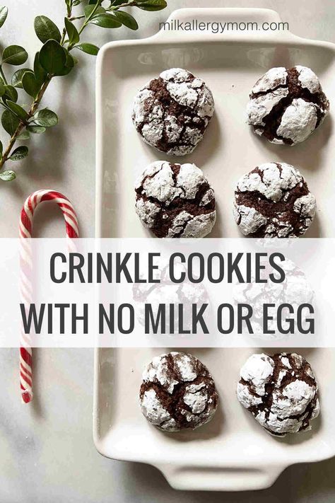 Chocolate Crinkle Cookies No Milk, No Egg | Milk Allergy Mom No Milk No Egg Dessert, Eggless Chocolate Crinkle Cookies, Cookies No Eggs Easy, Milk Free Cookies, No Milk Cookies, Milk Allergy Recipes, Dairy Free Christmas Recipes, Pku Recipes, Chocolate Crinkles Recipe