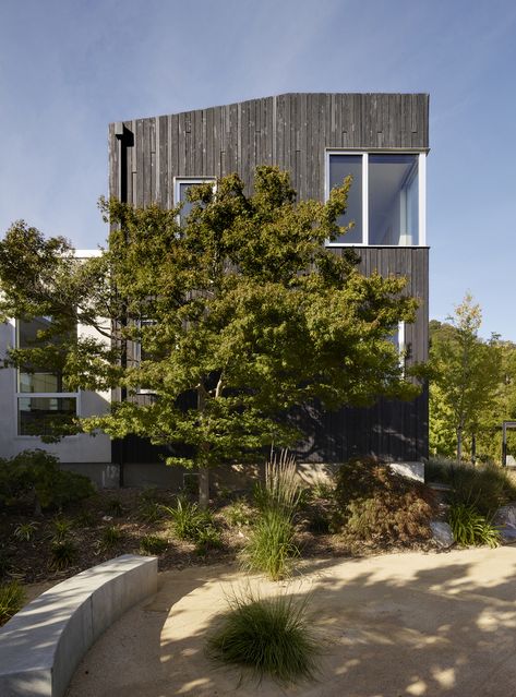 Show Sugi Ban House by Schwartz and Architecture, Los Gatos, CA, USA. We created a two-story addition clad in traditional Japanese Shou Sugi Ban burnt wood siding that anchors home and site. Sugi Ban House, Shou Sugi Ban House, Architecture Site Plan, Green Architect, Driveway Entrance, Electric Gates, Burnt Wood, Charred Wood, Sugi Ban