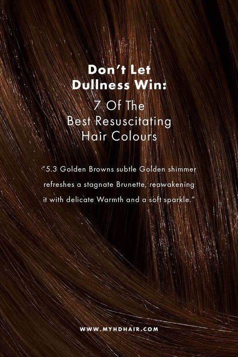 Toning Orange Brassy Hair Shades Eq, Gold Hair Colors, Hair Color Chocolate, Chocolate Hair, Flat Hair, Color Stripes, Beauty Secrets, Skin Tones, Color Change