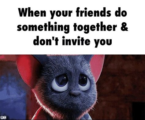 Excluded By Friends, Not Invited, Some Friends, True Friends, Something To Do, Fun Facts, Funny Gif, Funny Memes, Gif