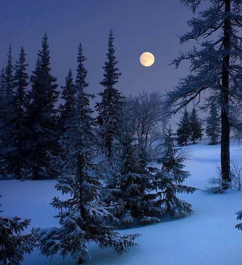 A winter full moon Futurisme Retro, Winter Moon, Winter Photos, Moon Photography, Winter Love, Winter Scenery, Winter Beauty, Beautiful Moon, Snow Scenes