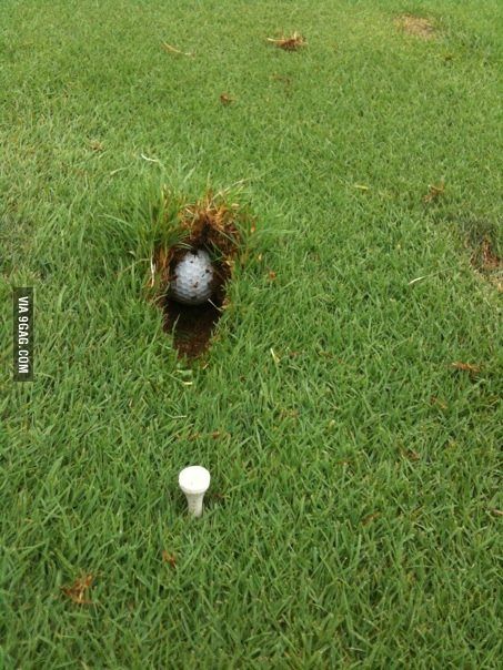 Golf Pictures, Golf Rules, Golf Mk4, Golf Quotes, Funny Golf, Epic Fails Funny, Golf Humor, Golf Tees, Rock Bottom