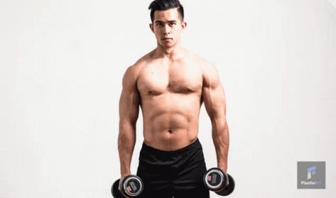 Dumbbell Shrug GIF - Dumbbell Shrug - Discover & Share GIFs Dumbbell Shrugs, Shrugs Workout, Shoulder Dumbbell, Exercises For Shoulders, Dumbbell Side Lateral Raise, Rear Delt Fly, Traps Muscle, Delt Fly, Best Dumbbell Exercises