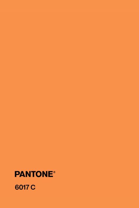 Creamsicle Orange Color, Light Orange Pantone, Orange Color Pantone, Orange Pantone Color, Madi Aesthetic, Orange Widget, Orange Color Background, Orange Pantone, Drawing Gifts